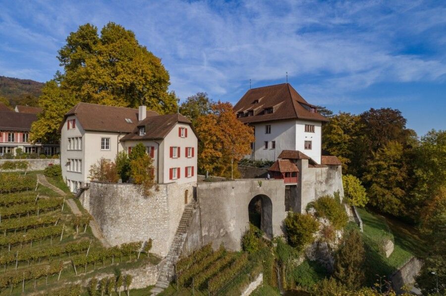 Foto vom Schloss Biberstein