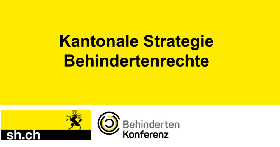 Das Logo Kantonale Strategie Behindertenrechte