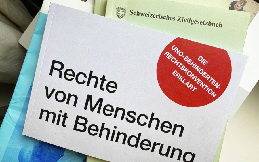 Im Fokus des Bildes stehen zwei Bücher. Im Vordergrund ist ein Buch abgebildet, welches die UNO-Behindertenrechtskonvention erklärt. Das Buch trägt den Titel "Rechte von Menschen mit Behinderung". Hinter diesem Buch befindet sich das Schweizerische Zivilgesetzbuch.