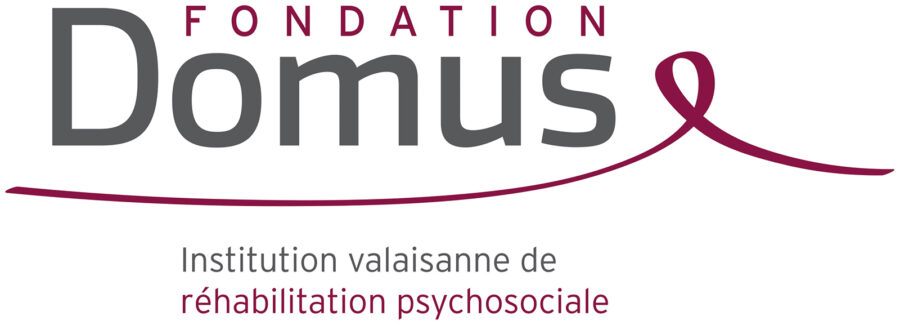 Logo Fondation Domus