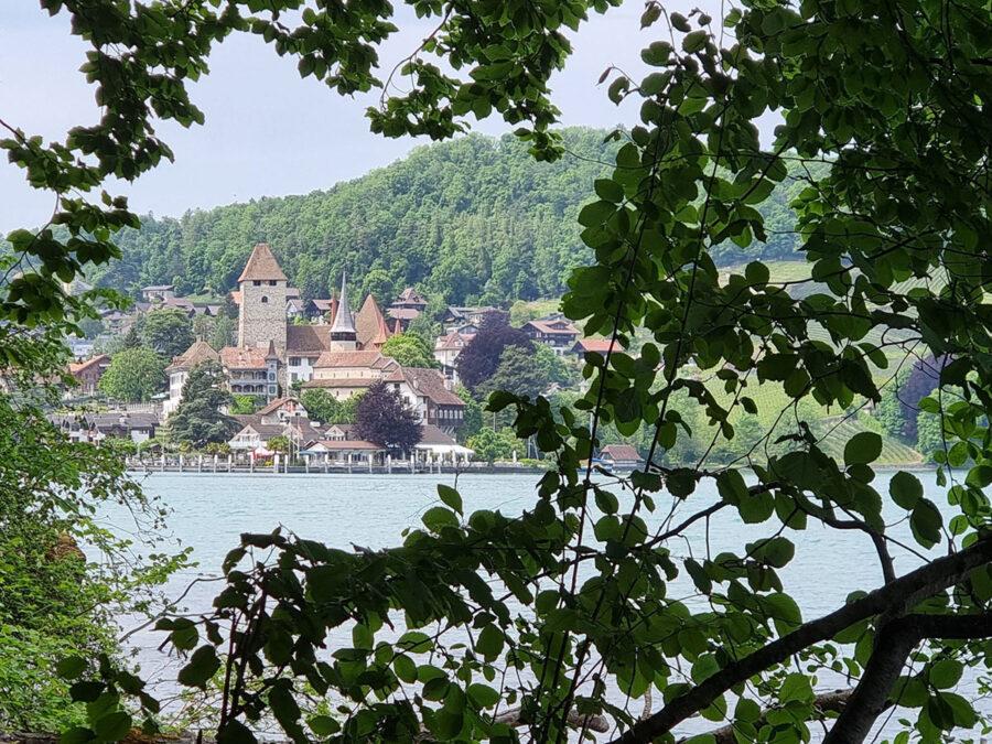 Foto durch einen Blätterrahmen aufgenommen auf die Burg von Spiez