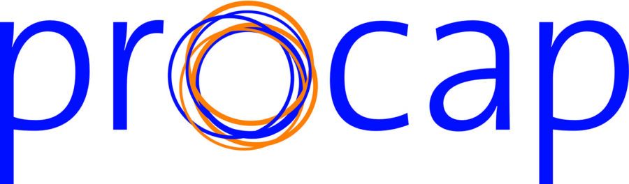Logo Procap Oberwallis