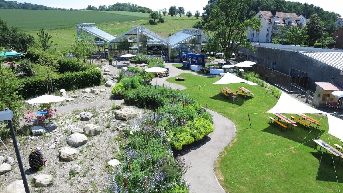 Der grüne Pigna Park mit Festbänken und einem Glashaus lädt die Gäste zum Ver-weilen ein.