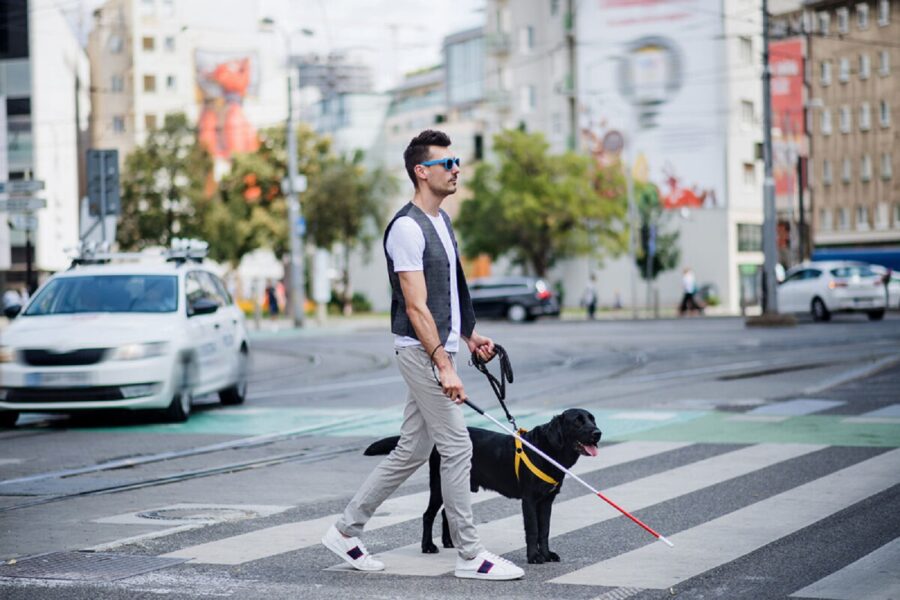 Ein jüngerer Mann geht mit seinem Blindenstock und seinem Führhund über einen Zebrastreifen.